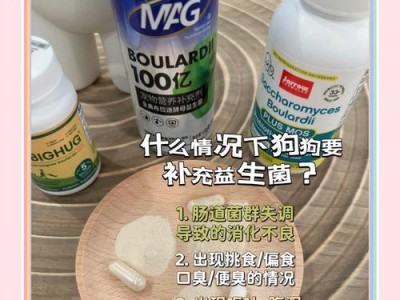 狗狗小孢子菌感染的康复时间及治疗方法（了解康复过程，呵护宠物健康）