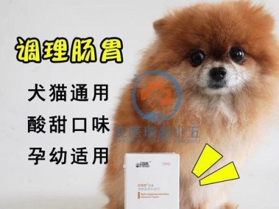 狗狗拉稀怎么办？药物治疗方法解析（了解狗狗拉稀病因，选择适合的药物治疗方案）