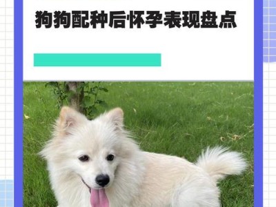 狗狗怀孕的症状及注意事项（了解狗狗怀孕前的表现及必要的护理知识）