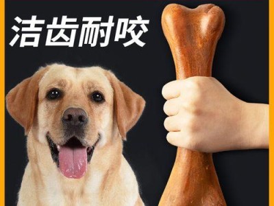 千万不能让拉布拉多幼犬吃这些食物!(宠物主人必知,拉布拉多幼犬的禁食清单)