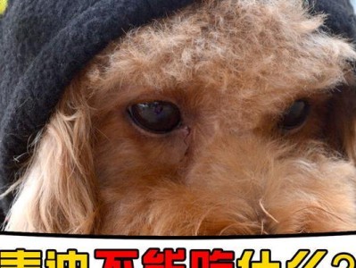 泰迪犬生产前几天不吃什么？（探究泰迪犬产前饮食习惯及其影响）