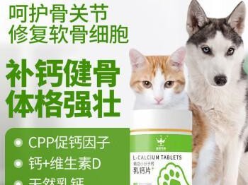 如何正确给小狗补钙（为宠物狗提供全面的钙质补充，让它们更健康快乐）