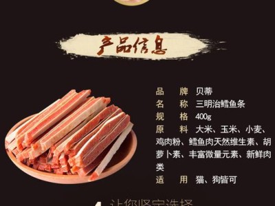 泰迪的零嘴选择（多样化的零食选项让泰迪精力充沛）