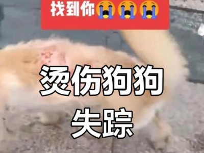 狗狗被烫伤多久长出毛？（探寻狗狗被烫伤后恢复毛发生长的时间周期）