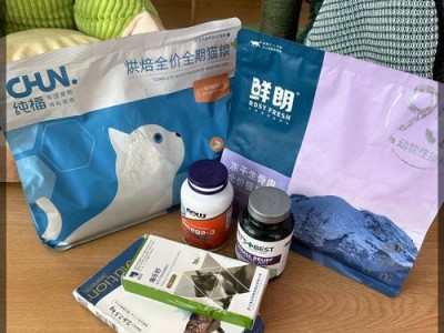 养猫前的必备准备（打造舒适猫咪生活的关键步骤）