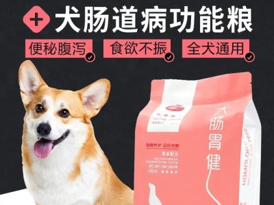 狗狗胃不好，怎样调理饮食（为你的爱犬提供适宜的食物，让它健康成长）
