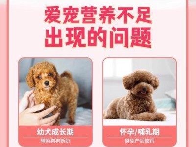 狗下奶多久下小狗的关键因素及时间预测（探究母犬下奶的影响因素与小狗出生时间的预测方法）