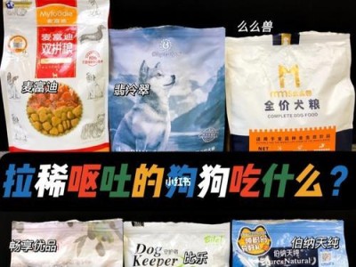 狗呕吐后可食用的物品（为你的宠物提供正确的食物选择）