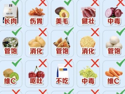 狗狗喂养指南（详细指导和建议，让你的狗狗得到适当的营养和关爱）