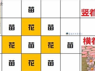 五彩青蛙的饲养方法（了解五彩青蛙的特点及其饲养注意事项）