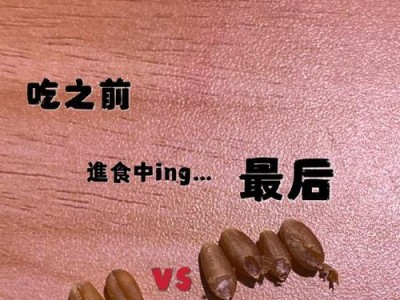 小仓鼠的谷物饮食（以小仓鼠为主食的15种谷物及其营养价值）