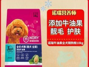 贵宾犬的合理喂食量（了解贵宾犬的喂食标准，让它健康快乐成长）