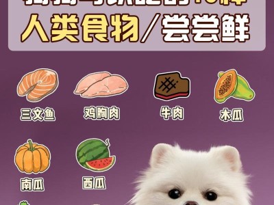 狗狗适合食用的豆制品有哪些？（从大豆到豆腐干，为你的宠物选择最佳豆制品。）