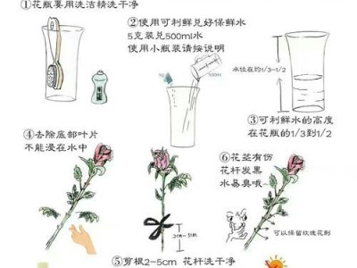 威尔士梗的饲养方法（了解威尔士梗的特点，打造健康快乐的生活）