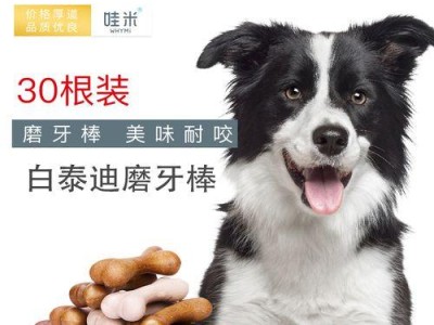 半岁边牧的磨牙问题解决办法（让你的小边牧远离磨牙困扰）
