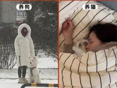 养狗的职业选择（探索养狗行业的各种就业机会及相关技能要求）