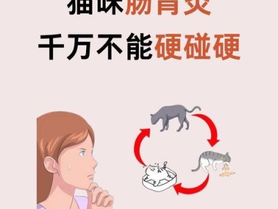 猫咪肠胃炎（了解猫咪肠胃炎，合理护理，提高生存率）
