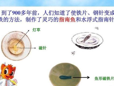 五彩青蛙的饲养指南（宠物青蛙，让生活多姿多彩）