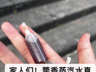 揭开谣言（别让“常识”害了狗狗，了解正确的中暑急救方法）