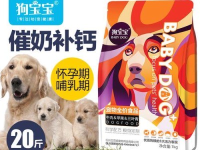 狗狗坐月子的饮食注意事项（为狗狗提供适合下奶的营养）
