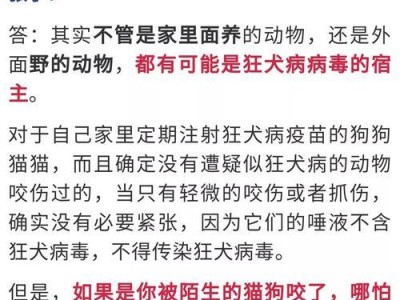 幼犬疫苗接种的重要性（了解幼犬的疫苗接种时间和必要性）