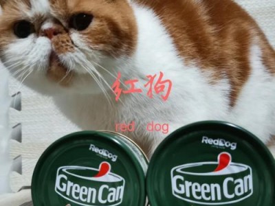 没有长牙的小猫咪吃什么？（营养均衡的饮食对小猫咪生长发育至关重要）