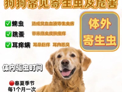 如何判断狗狗是否需要驱虫？（驱虫注意事项及预防措施）