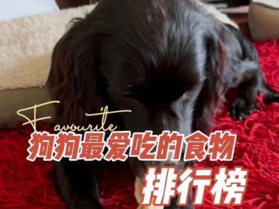 狗狗的最爱美食探秘（探寻狗狗们最喜欢的食物，满足它们的味蕾！）