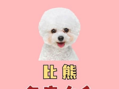MyDog'sEnglishNameandtheMeaningBehindIt（UnveilingtheKeytoNamingMyBelovedPet）