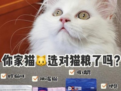 除了猫粮，你的宠物猫还需要吃什么？（探索猫咪的饮食需求和健康选择）