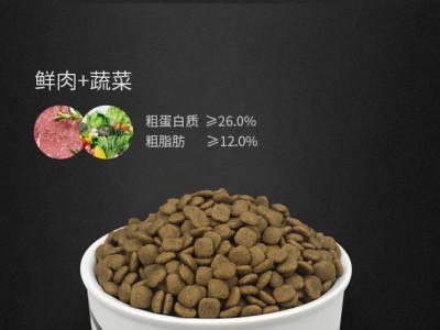 以罗威纳吃什么会长壮？（探寻罗威纳狗独特的饮食需求及营养需求）