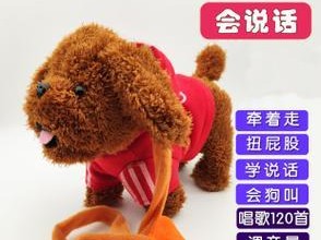 如何选择适合宠物的玩具（为您的狗狗挑选最合适的玩具，以确保其健康和乐趣。）