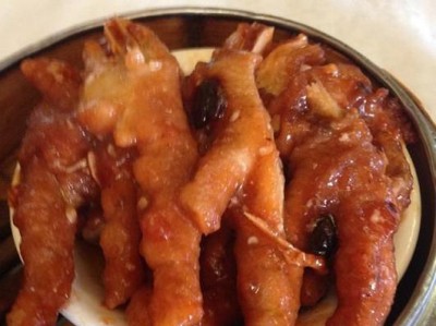 墨西哥田鼠的饲养方法（从零开始学习墨西哥田鼠的养殖技巧）