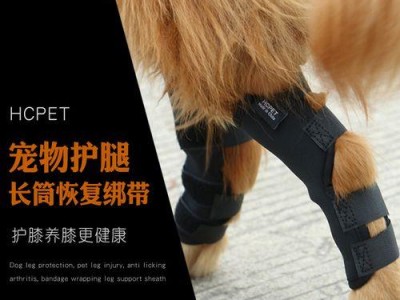 狗后腿脱臼的治疗方法与药物选择（针对狗后腿脱臼的常见药物及使用方法，让你的宠物恢复正常行走）