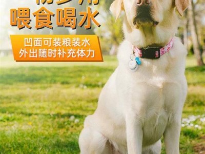如何训练一只优秀的边境牧羊犬（从基础训练到高级技巧，让你的爱宠成为顶尖工作犬）