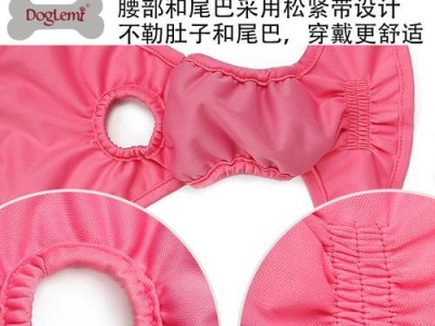 如何照顾在生理期的泰迪犬（母泰迪生理期频率及关键事项解析）
