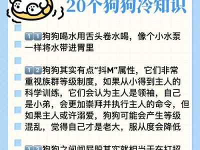 揭秘养狗的15个冷知识，你知道多少？（养狗的冷知识，帮助你更好地照顾宠物）
