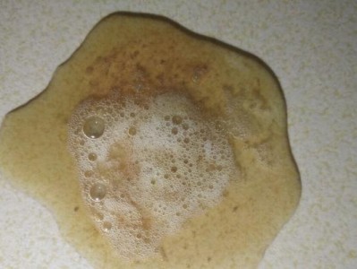 狗狗吐出水一样的东西，可能是什么？（狗狗吐水状物质的原因与应对方法）
