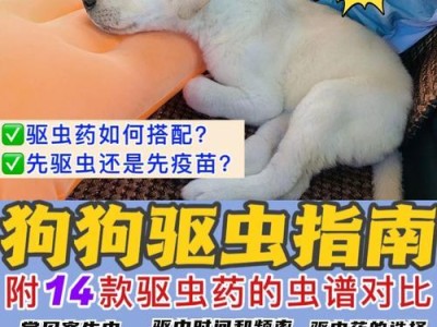 狗狗拉蛔虫的解药是什么？（选择合适的药物保护你的毛孩免受蛔虫侵害）