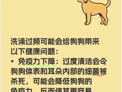 狗狗洗澡的最佳频率是多久一次？（探讨狗狗洗澡的最佳时间间隔及注意事项）