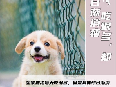 揭秘狗体内的寄生虫世界（探索犬类寄生虫的多样性及危害）