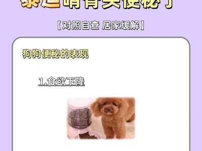 泰迪胃药（解决胃痛、消化不良和胃灼热的泰迪胃药）