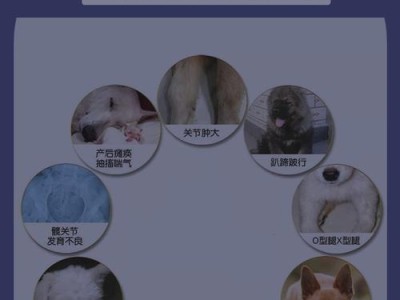 狗狗是否需要补钙？（正确的狗狗补钙方法）
