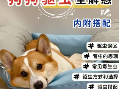 如何为一岁半的宠物狗进行驱虫和疫苗（宠物狗健康保健的必要措施及注意事项）
