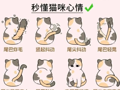 小猫尾巴晃动之谜（揭开小猫尾巴晃动的秘密，你知道吗？）