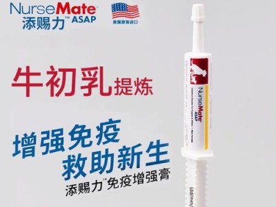 狗狗出乳的颜色是什么？（探索狗狗乳汁的色彩奥秘）