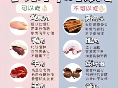 探究鸡蛋黄的多种用途（解析鸡蛋黄在美食、保健与美容方面的不同应用）