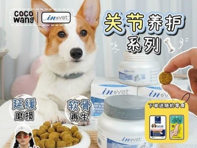 狗狗护关节的必备之物（以狗狗护关节为主题，介绍如何保护和维护狗狗的关节健康）
