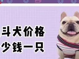 法斗价格浅析——不同级别的影响因素（法斗价格一览）