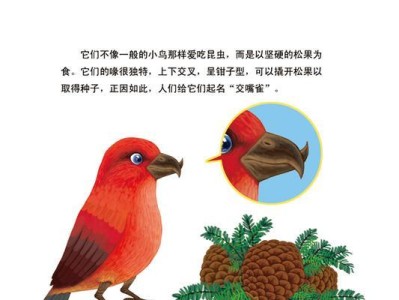 交嘴雀饲养全攻略（掌握这些技巧，交嘴雀不再难养）